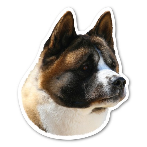 Akita magnet - akita,