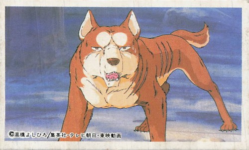 Ginga nagareboshi gin akita - nagareboshi,