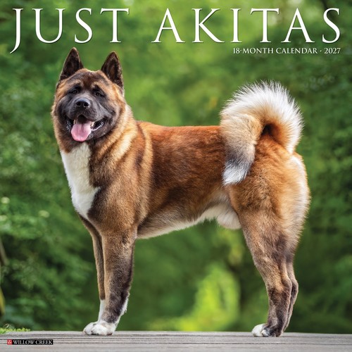 Akitas 2027 12 - ", wall