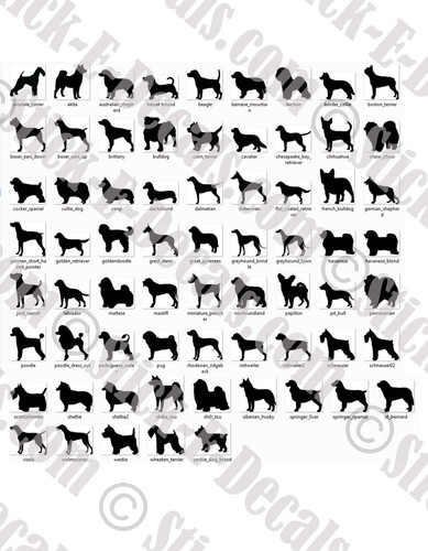 Breeds dog breed - breeds, a-b