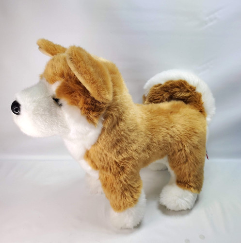 Dunham shiba inu douglas - dunham,