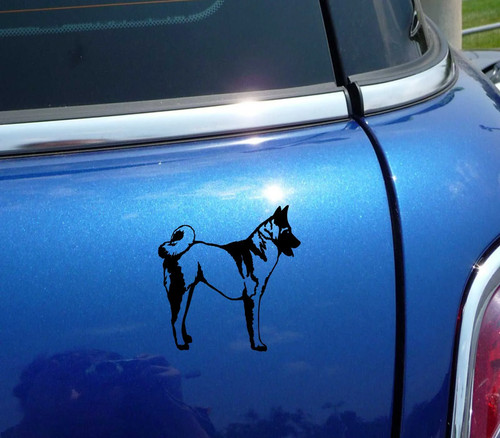 Detailed akita akitas dog dogs - akitas,