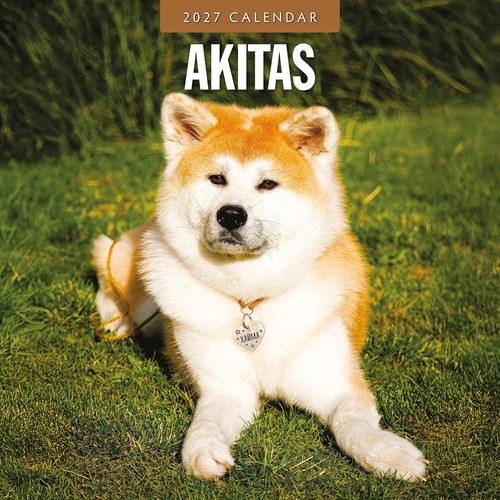Akitas 2027 wall - akitas,