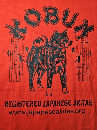 Kobun japanese akitas club - akitas, t